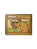 پالت 12 رنگ Viva La Leopard | آرایشی بهداشتی ویونا